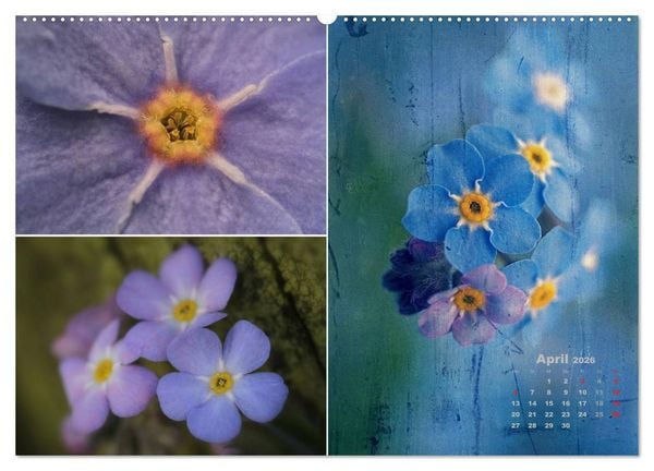 Produktbild: Blumenreise 2026 (hochwertiger Premium Wandkalender 2026 DIN A2 quer), Kunstdruck in Hochglanz