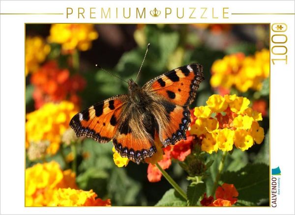 Produktbild: CALVENDO Puzzle Kleiner Fuchs auf Lantana | 1000 Teile Lege-Gr&ouml;&szlig;e 64x48cm Foto-Puzzle f&uuml;r gl&uuml;ckliche Stunden