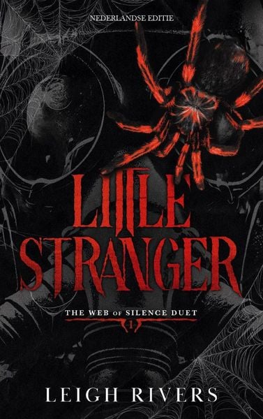 Produktbild: Little Stranger (The web of silence duet, #1)