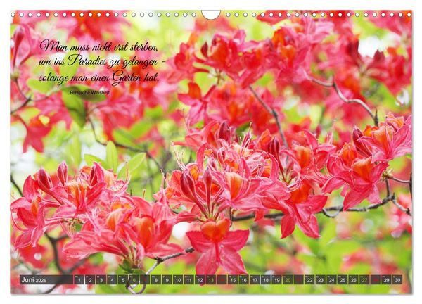 Produktbild: Rhododendren und Poesie (Wandkalender 2026 DIN A3 quer), CALVENDO Monatskalender