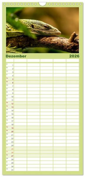 Produktbild: Familienplaner 2026 - Reptilien & Amphibien Portraits mit 5 Spalten (Wandkalender, 21 x 45 cm) CALVENDO