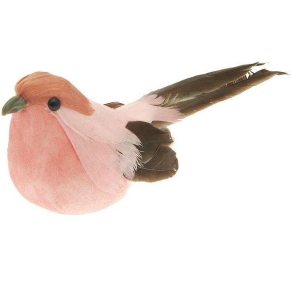 Produktbild: Vogel, Apricot