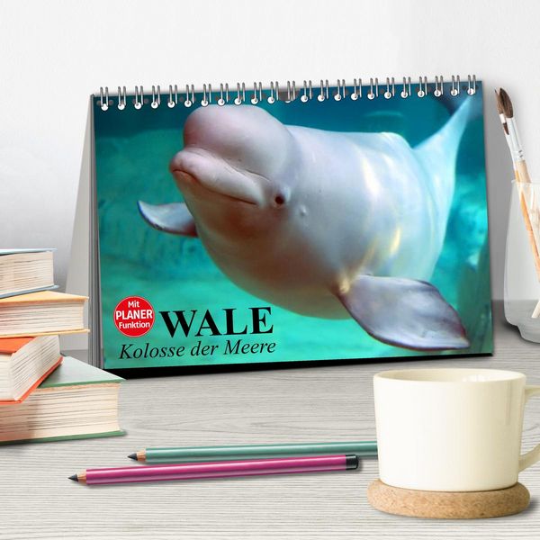 Produktbild: Wale. Kolosse der Meere (Tischkalender 2026 DIN A5 quer), CALVENDO Monatskalender