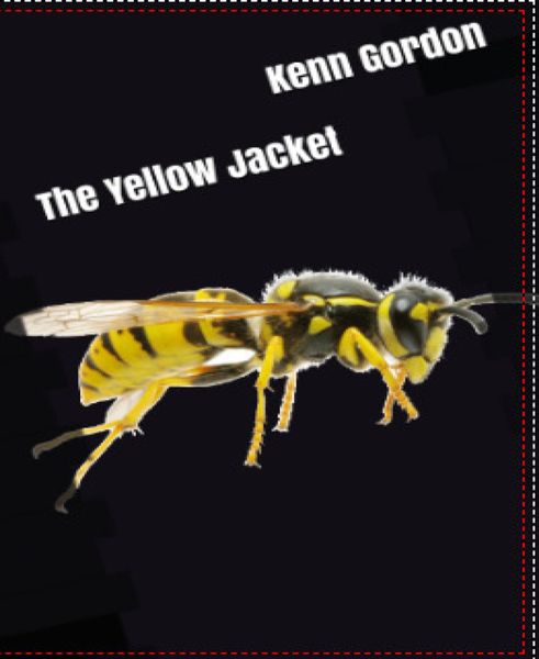 Produktbild: The Yellow Jacket