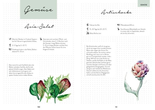 Produktbild: Hochbeet-Gl&uuml;ck &ndash; Das illustrierte Gartenbuch