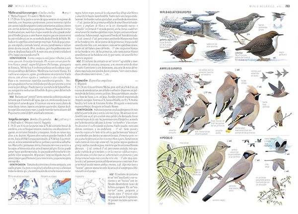 Produktbild: Gu&iacute;a de aves : Europa y la regi&oacute;n mediterr&aacute;nea