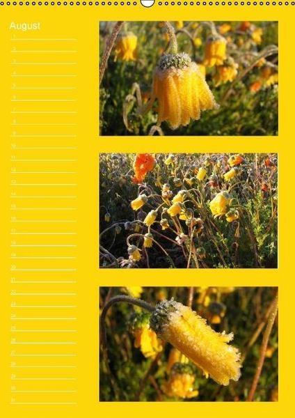 Produktbild: Zauberwelt der Blumen - Eiskristalle & Wasserperlen / Geburtstagskalender (Wandkalender immerw&auml;hrend DIN A2 hoch)