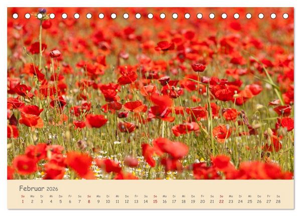 Produktbild: Mohnblumen - rote Sch&ouml;nheiten (Tischkalender 2026 DIN A5 quer), CALVENDO Monatskalender