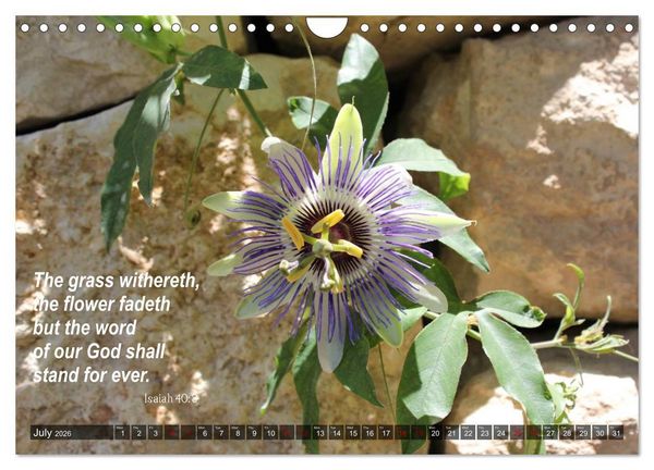 Produktbild: ISRAEL (Wall Calendar 2026 DIN A4 landscape), CALVENDO 12 Month Wall Calendar