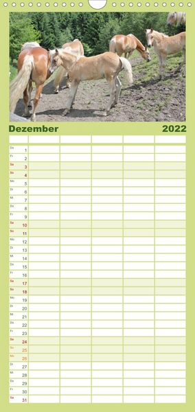 Produktbild: Familienplaner Alpenpferde (Wandkalender 2022 , 21 cm x 45 cm, hoch)