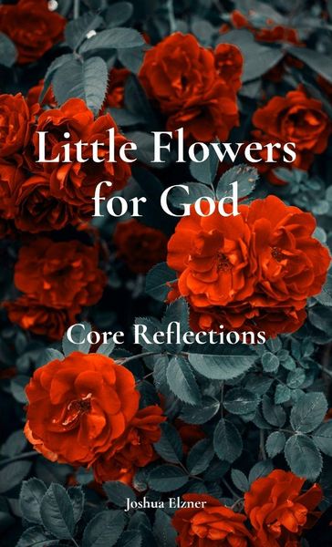 Produktbild: Little Flowers for God