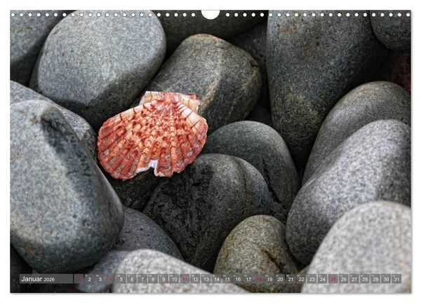 Produktbild: Steinreich (Wandkalender 2026 DIN A3 quer), CALVENDO Monatskalender