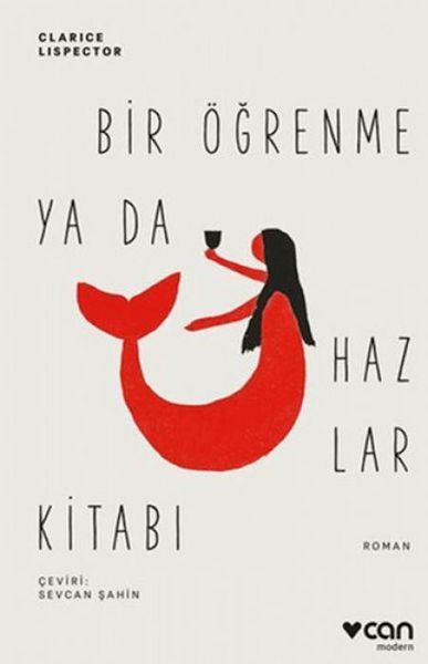 Produktbild: Bir &Ouml;grenme ya da Hazlar Kitabi