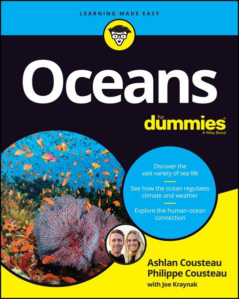 Produktbild: Oceans For Dummies