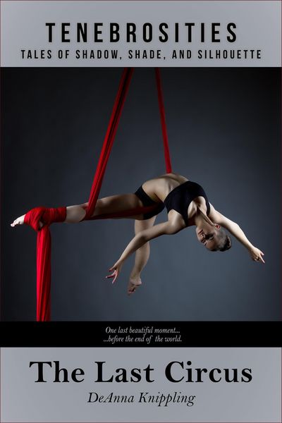 Produktbild: The Last Circus