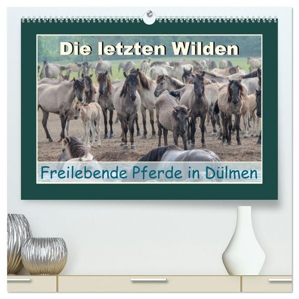 Produktbild: Die letzten Wilden - freilebende Pferde in D&uuml;lmen (hochwertiger Premium Wandkalender 2027 DIN A2 quer), Kunstdruck in Hochglanz