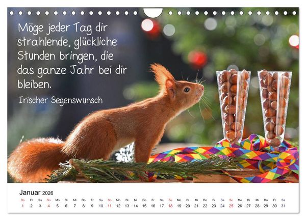 Produktbild: Der literarische Eichh&ouml;rnchen-Kalender (Wandkalender 2026 DIN A4 quer), CALVENDO Monatskalender