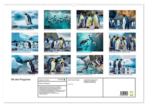 Produktbild: Mit den Pinguinen (Wandkalender 2026 DIN A2 quer), CALVENDO Monatskalender