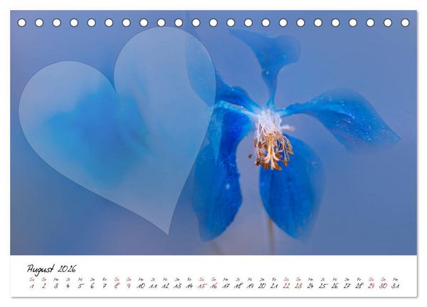 Produktbild: Blauer Bl&uuml;tentraum - Bastelkalender (Tischkalender 2026 DIN A5 quer), CALVENDO Monatskalender