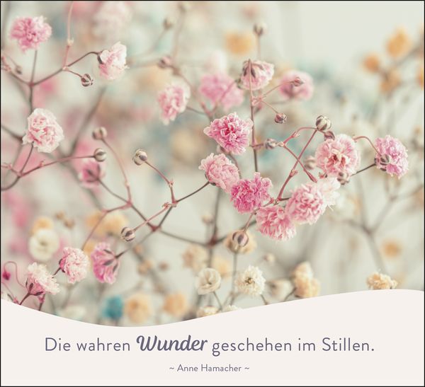 In der Stille blüht die Kraft