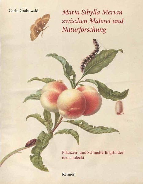 Produktbild: Maria Sibylla Merian zwischen Malerei und Naturforschung