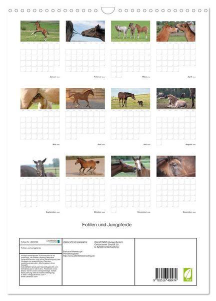 Produktbild: Fohlen und Jungpferde (Wandkalender 2026 DIN A3 hoch), CALVENDO Monatskalender