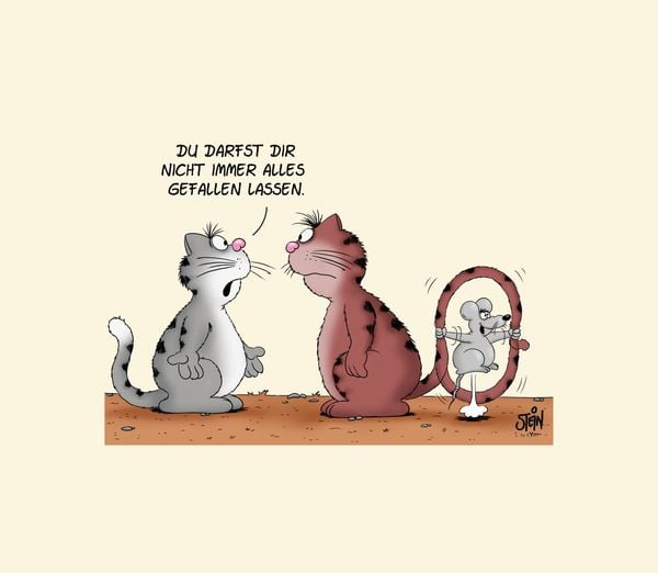 Produktbild: Uli Stein für Tierfreunde: Alles für die Katz(e)