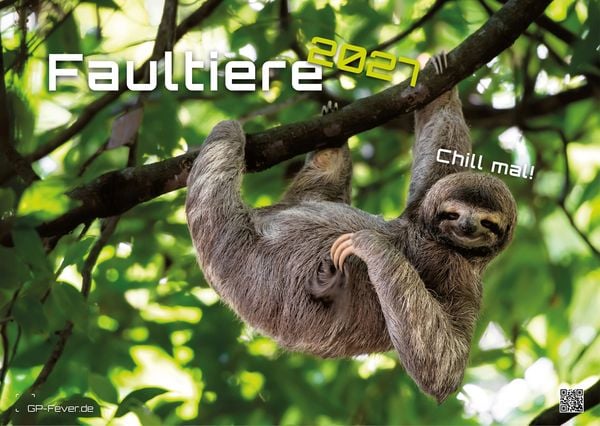 Produktbild: Faultiere &ndash; Chill mal! - 2027 - Kalender DIN A3