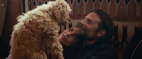 Produktbild: A Star is Born (4K Ultra HD) (+ Blu-ray 2D)