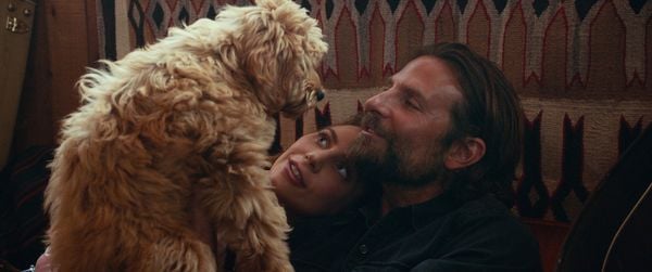 Produktbild: A Star is Born