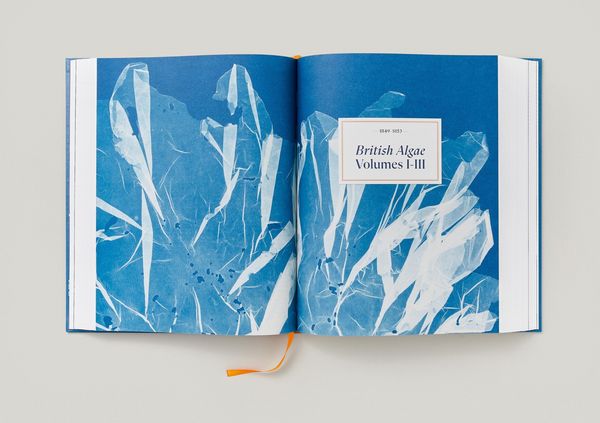 Produktbild: Anna Atkins