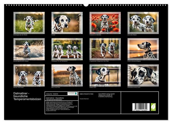 Produktbild: Dalmatiner - freundliche Temperamentsbolzen (hochwertiger Premium Wandkalender 2026 DIN A2 quer), Kunstdruck in Hochglanz