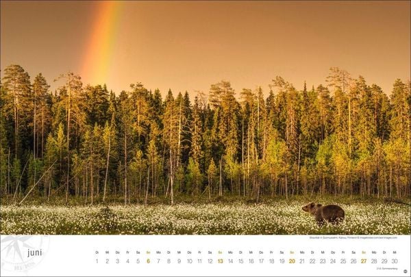 Produktbild: Skandinavien Globetrotter Kalender 2027 - Von stillen W&auml;ldern, Seen und Fjorden