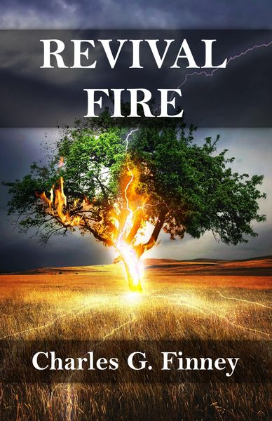 Produktbild: Revival Fire