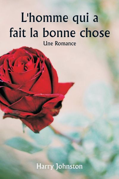 Produktbild: L'homme qui a fait la bonne chose Une romance