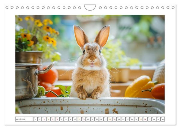 Produktbild: Lustige Hasengeschichten (Wandkalender 2026 DIN A4 quer), CALVENDO Monatskalender