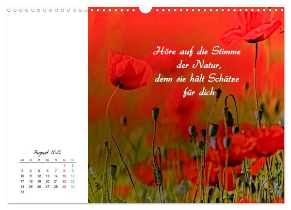 Produktbild: Innehalten in der Natur ... mit Weisheiten und Sprichworten der Indianer (Wandkalender 2026 DIN A3 quer), CALVENDO Monatskalender