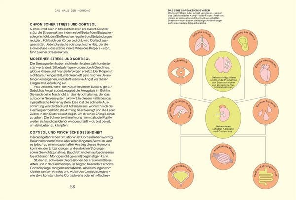 Produktbild: Alles, was du &uuml;ber Hormone wissen musst