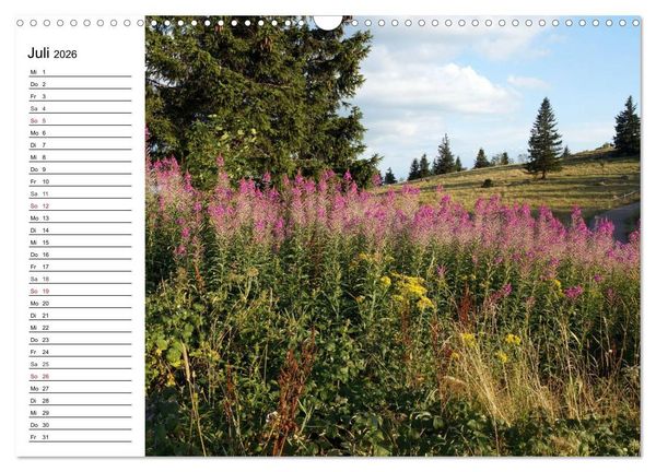 Produktbild: S&uuml;dschwarzwald - Impressionen (Wandkalender 2026 DIN A3 quer), CALVENDO Monatskalender