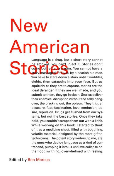 Produktbild: New American Stories