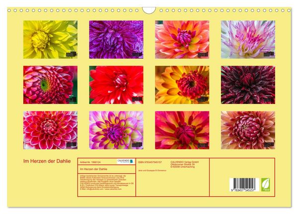 Produktbild: Im Herzen der Dahlie (Wandkalender 2026 DIN A3 quer), CALVENDO Monatskalender