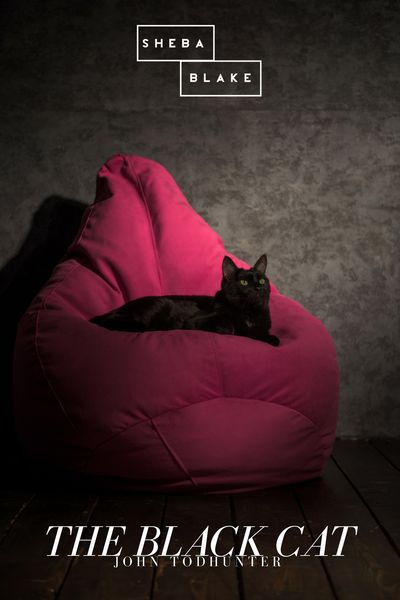 Produktbild: The Black Cat