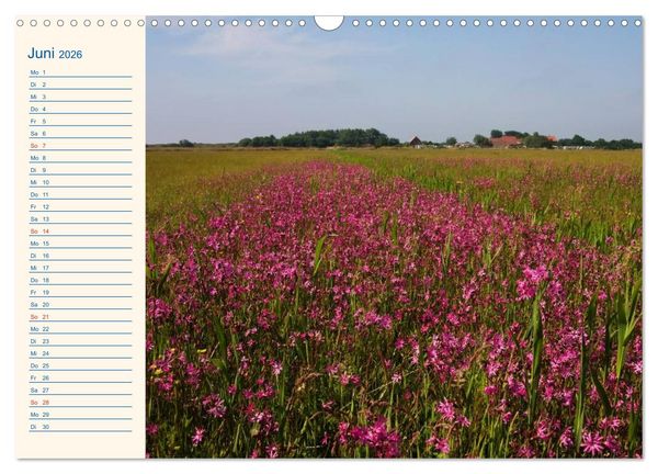 Produktbild: Urlaub auf Borkum (Wandkalender 2026 DIN A3 quer), CALVENDO Monatskalender