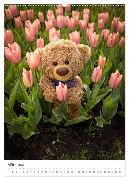 Produktbild: Travelling Teddy liebt Blumen und Bl&uuml;ten (hochwertiger Premium Wandkalender 2026 DIN A2 hoch), Kunstdruck in Hochglanz