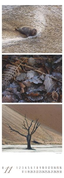 Produktbild: Colours of Nature - Triplets 2026 - Streifenkalender XXL 25x69 cm - Bildkalender im Hochformat - Naturkalender - Wandkalender - Wandplaner