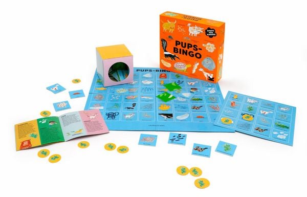 Produktbild: Pups-Bingo