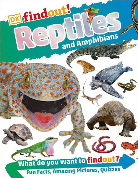 Produktbild: DK: DKfindout! Reptiles and Amphibians