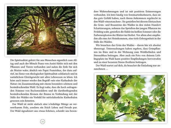 Produktbild: Wohlf&uuml;hlort Wald