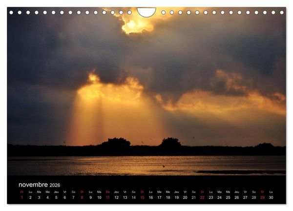 Produktbild: Camargue Entre mer et nature (Calendrier mural 2026 DIN A4 vertical), CALVENDO calendrier mensuel