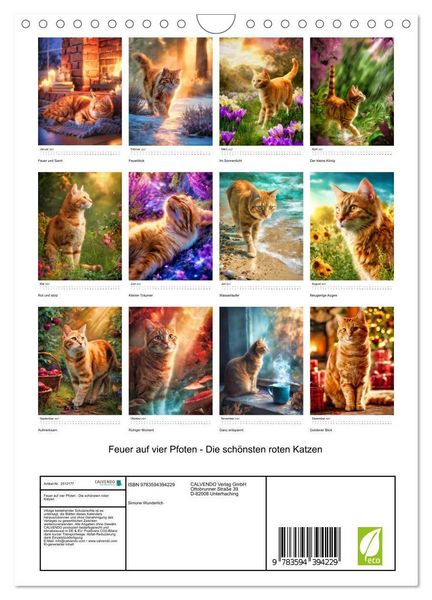 Produktbild: Feuer auf vier Pfoten - Die sch&ouml;nsten roten Katzen (Wandkalender 2027 DIN A4 hoch), CALVENDO Monatskalender